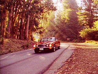 Jaguar on road